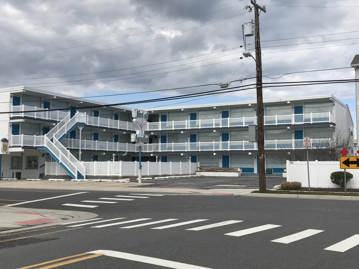 Bird Of Paradise Motel North Wildwood Exteriér fotografie